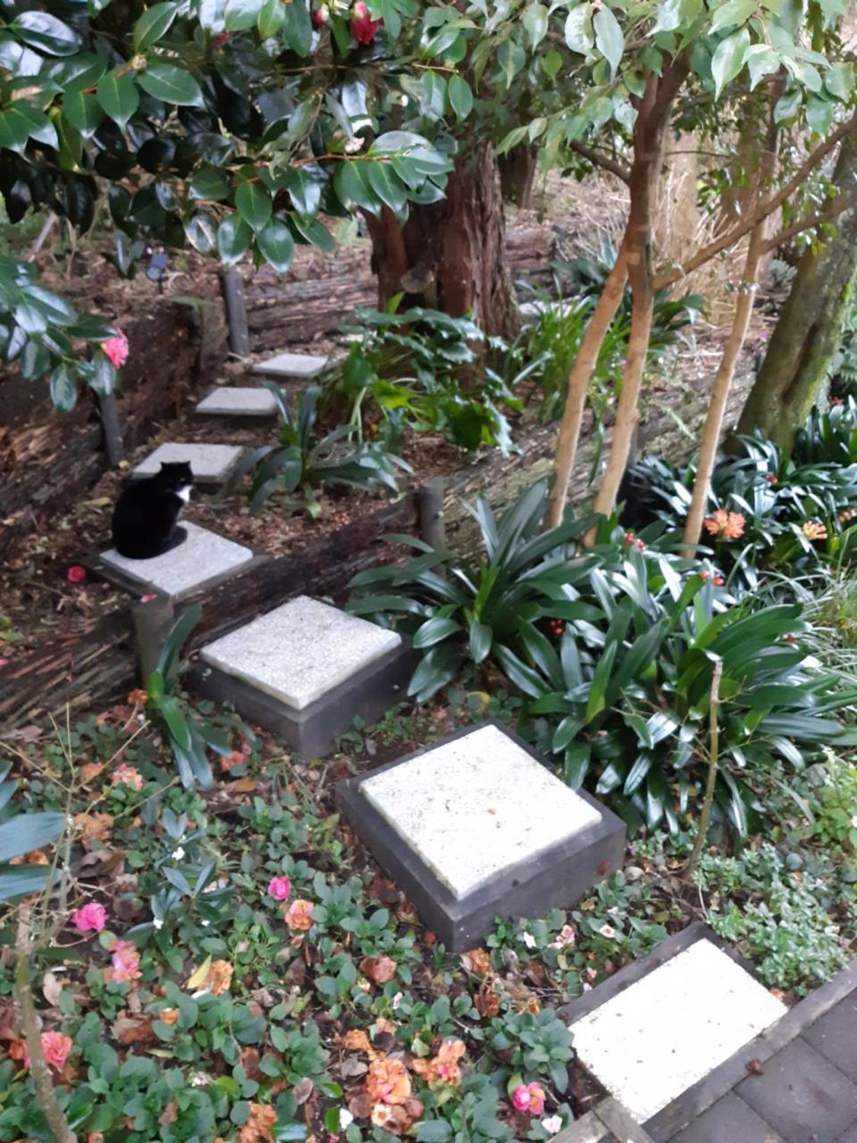 Sequoia Steps Bed & Breakfast นิวพลีมัธ ภายนอก รูปภาพ